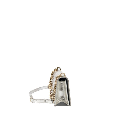 DIOR DIORAMA BAG GOATSKIN METALLIC SILVER LGHW